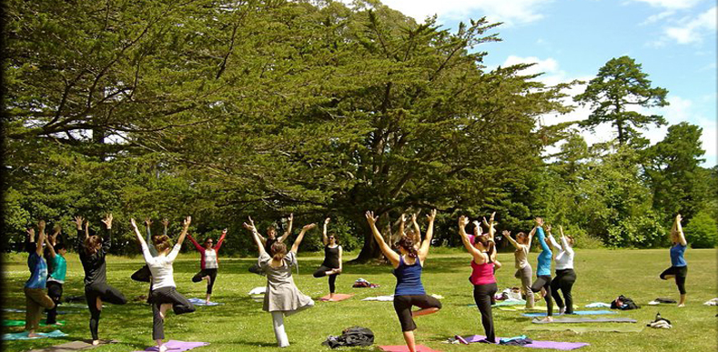 Amazing Trip Holidays Yoga Retreat Package